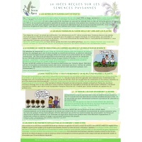 10_ides_fausses_sur_les_semences