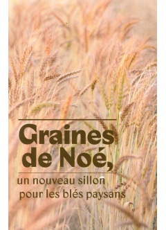 graines_de_noe_recto
