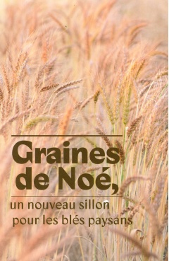 graines_de_noe_recto