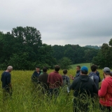 paysans dans blé pop