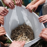 photo gré des blés 3