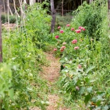 image jardin inspirés