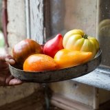 image jardin inspirés2